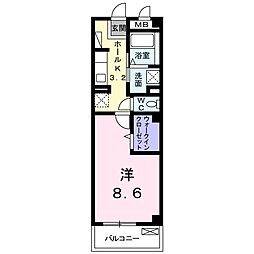ラージ 305
