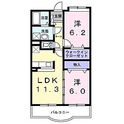 オネスティ　ユー　カレント 305