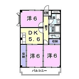 サンマリッチ 205