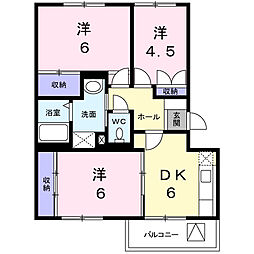 サンフラワーII 2-C