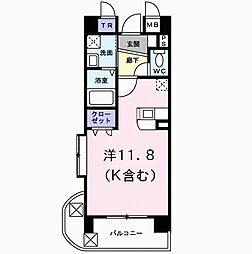 ＰＲＩＭＡＶＥＲＡ 205