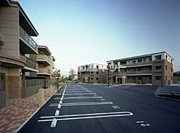 ラフィーネ（ラベンダー） 101