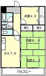 エスペランサ 305