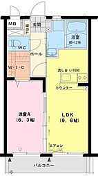 Center Court 205