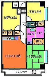 サンセール菊 401