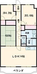 アヴニール愛野 103