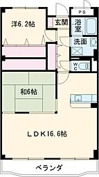 STAR　DREAM 502