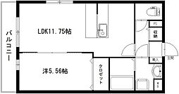 ハイトレイン 305