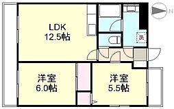 シャトーブリアン 503