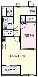 Fortuna carote（フォルトゥーナ　カロータ） 303