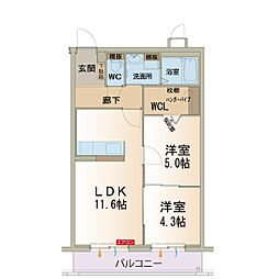 M　Ricci（エムリッチ） 201