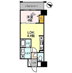 幸 court tsukamoto 202