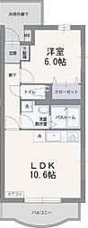フィールドコート　ステラ 202