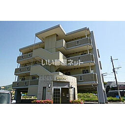 フローレス96 205