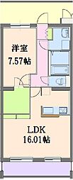 グラン　オーダー 505