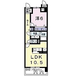 グラマシィー 207