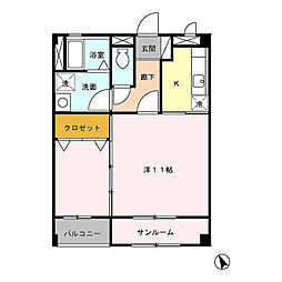 サンフラワー 203