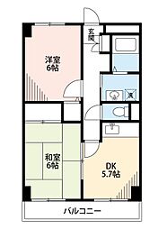 キャトル白山 302