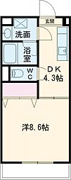 メゾンカネブン 206
