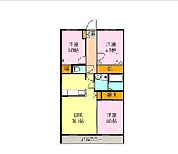 カサグランデ 305