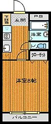 コスモ 302