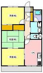 ウィステリア 205