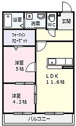M　Ricci（エムリッチ） 301