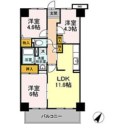 ワイズエメリールＵ 1204