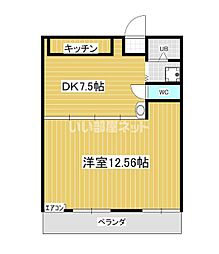 ワシミヤビル 203