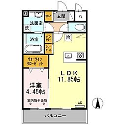 セリージャデトーア 302