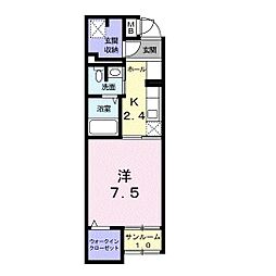 ボニート・トルチャ 104