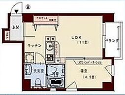 コリドールリブ 901