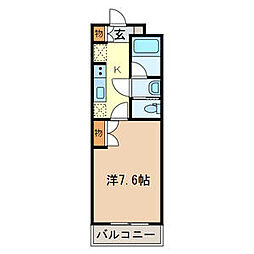エーデルワイス 305