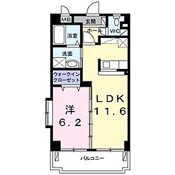 プラシードＣ．Ｈ 203