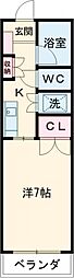 クリサンテーム21 206