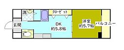ホワイトライト 606