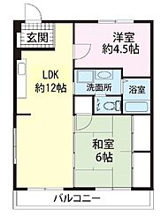 ヒルサイドテラス並木 202