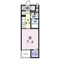 ボニート・トルチャ 403