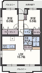 アンビシオン 305