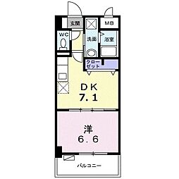 フィデール　モリ 305