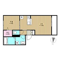 Ｃｏｒｎｅｊｏ（コルネッホ） 201