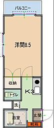 トーマス天久 505