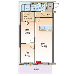 Neo Stage II 205
