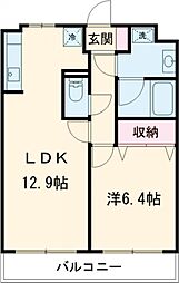グラシア・K 302