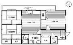 コーポMSD 303