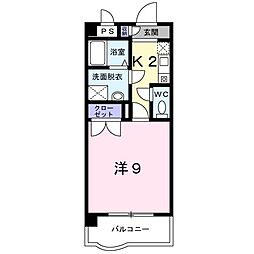 ネオ・グランツ 507