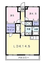 シャルマン宮町 303