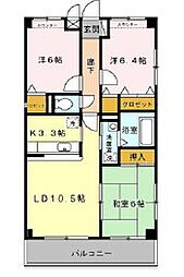コンフォール 101