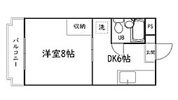 ステラハウス 306