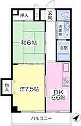 ＥＡＳＴ　ＨＩＬＬＳ 203